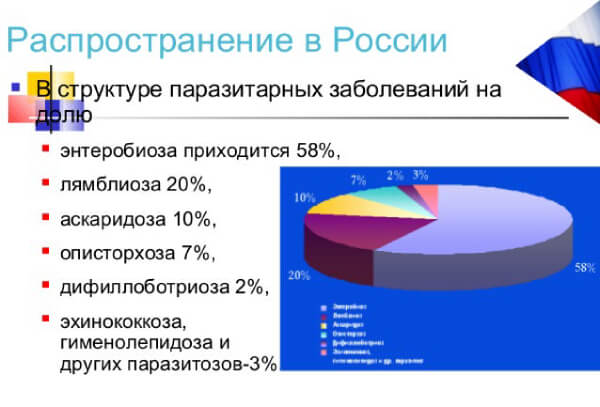 Лечение глистных инвазий медамином