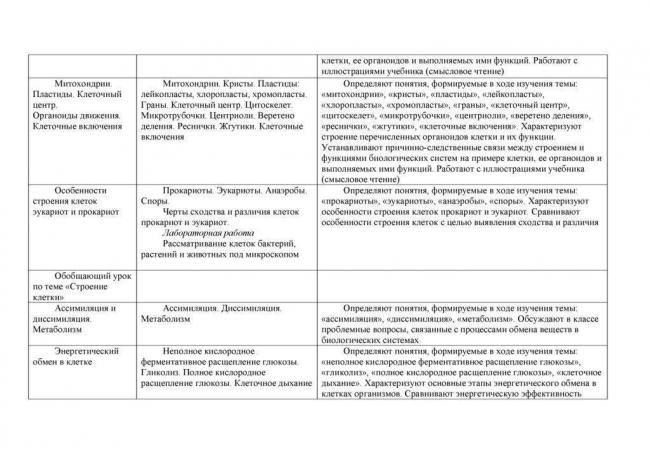 Какие сходства есть у клеток животных и бактерий