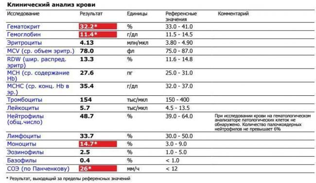 Общий анализ крови: чем болеет ребенок? как расшифровать анализ крови. норма лейкоцитов и эритроцитов