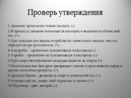 Анаэробные бактерии