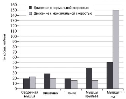 Микрофлора воздуха, воды, почвы и человека