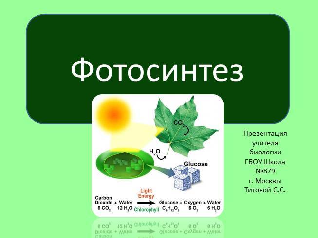Фотосинтез кратко и понятно