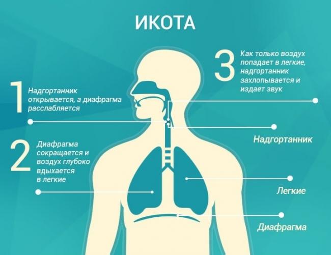Как избавиться от икоты быстро в домашних условиях