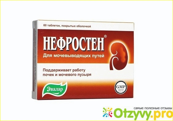 Бад эвалар нефростен — отзывы