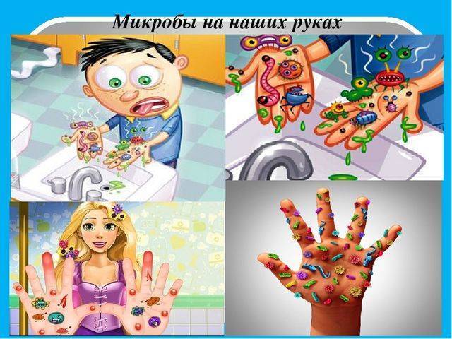Вредные бактерии – возбудители болезней человека