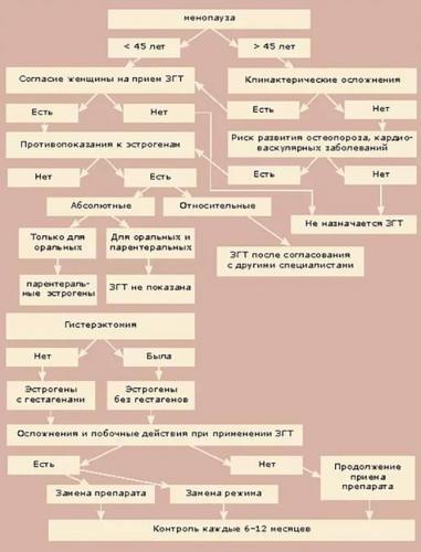 Анжелик - официальная инструкция по применению