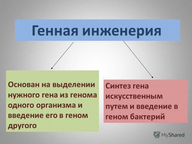 Генетическая инженерия — википедия с видео // wiki 2