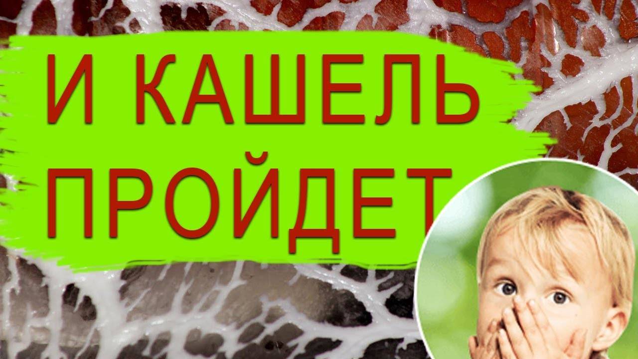 Свиной жир при кашле, рецепты применения для детей и взрослых