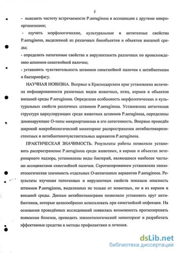 Чем опасна синегнойная палочка и как лечить синегнойную инфекцию