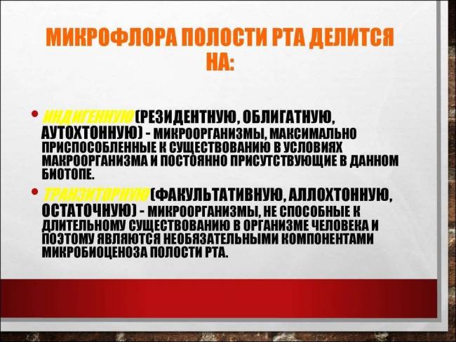 Бактерия кариеса: какие возбудители вызывают, роль этих микробов в патогенезе, как быстро разрушает зуб