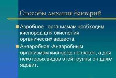 Классификация и ультраструктура, химический состав спирохет.методы обнаружения и роль в патологии человека