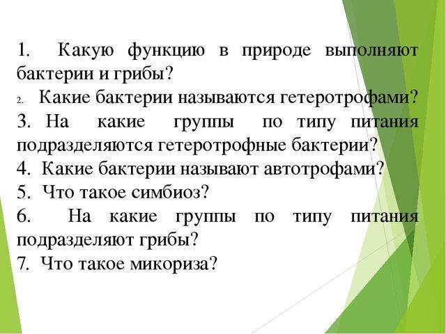 Анаэробные микроорганизмы википедия