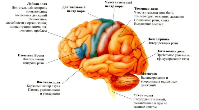 Атаксия фридрейха: симптомы, диагностика и лечение