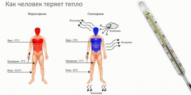 Пониженная температура тела: причины и первая помощь