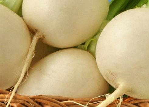 Мёд от кашля для детей: 30 самых эффективных народных рецептов