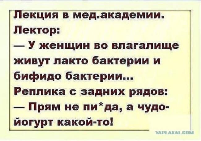 Роль бактерий в жизни человека. полезные бактерии