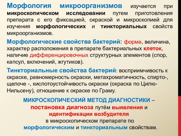 Бактерии представляют собой: а)одноклеточные организмы разной формы;б)одноклеточные и колониальные организмы различной формы;в) многоклеточные, английский язык