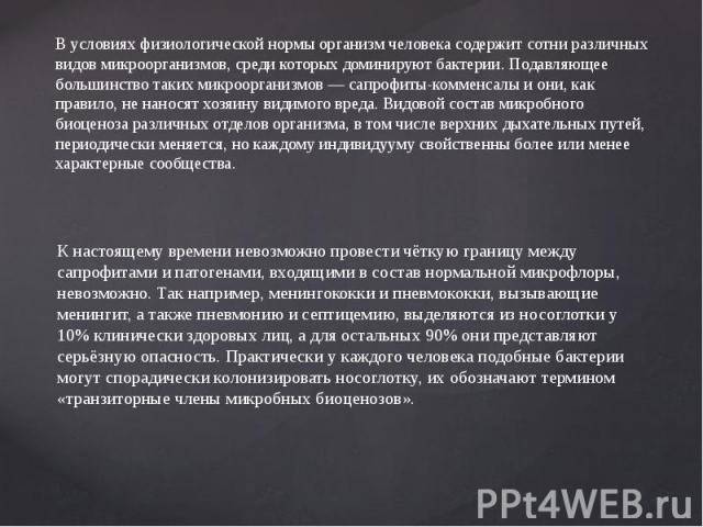 Болезнетворные бактерии: на коже, во рту, в кишечнике. фото грибков и бактерий