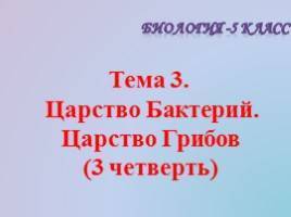 Анаэробные организмы