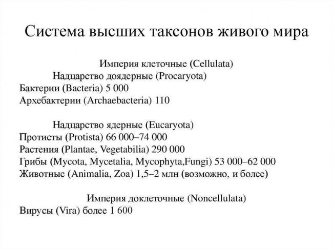 Жизнь на планете всем обязана анаэробным и аэробным бактериям