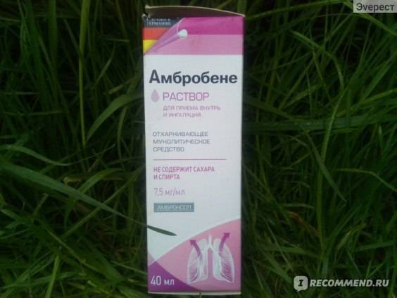 Раствор амбробене для ингаляций: инструкция по применению