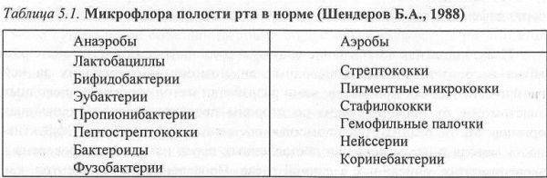 Польза и вред бактерий для человеческого организма