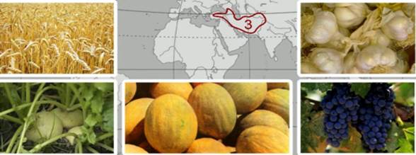 Мировой рынок органических продуктов питания