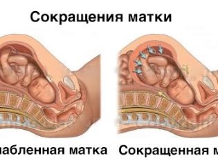 «папаверин» для детей: инструкция по применению