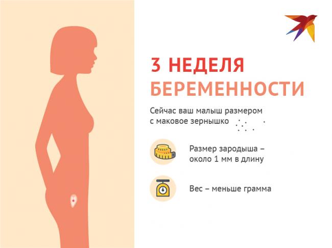 Токсикоз – состояние которое можно пережить