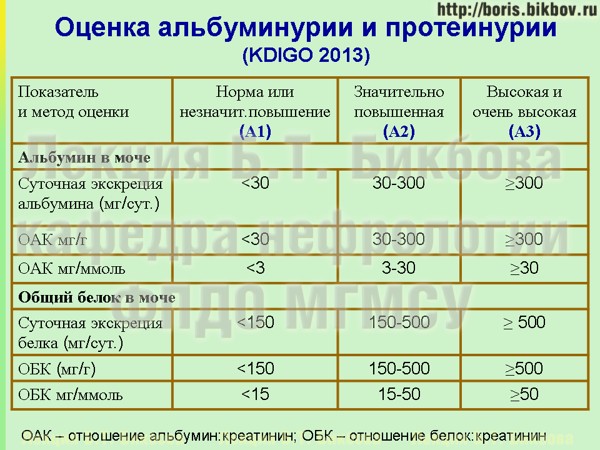 Что такое суточный анализ мочи на белок, как правильно собрать урину?