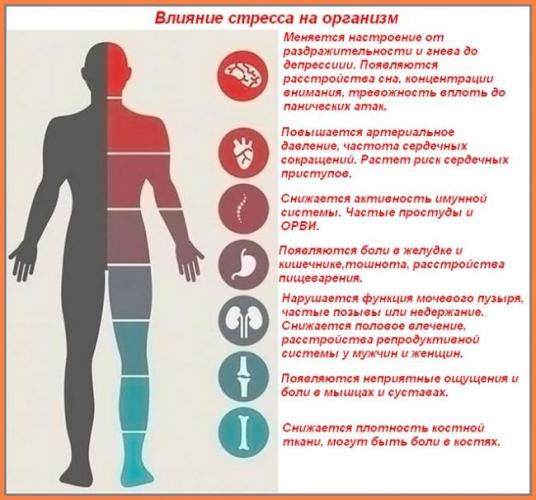 Гормон стресса кортизол и его влияние на организм
