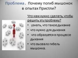 В чем заключаются главные особенности дыхания бактерий