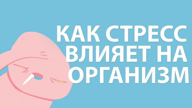 Какие гормоны стресса выделяет организм