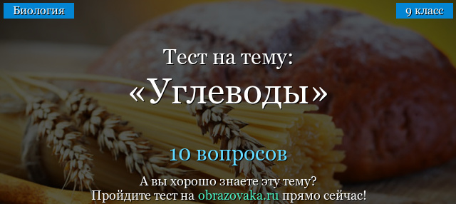 Какова роль углеводов в организме человека