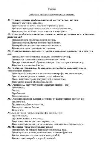 Сходство и различия строения клеток растений и животных