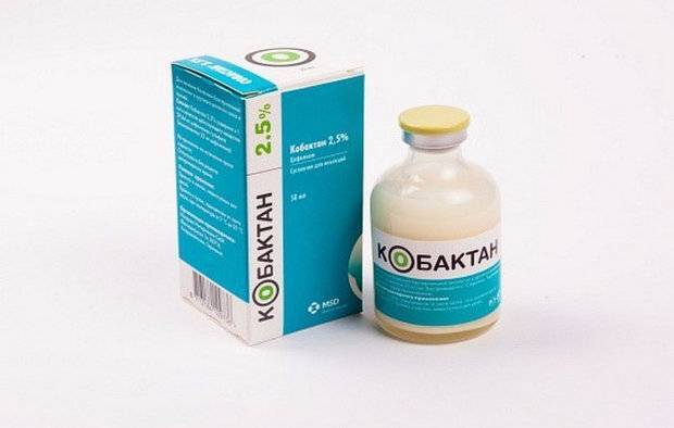 Кобактан