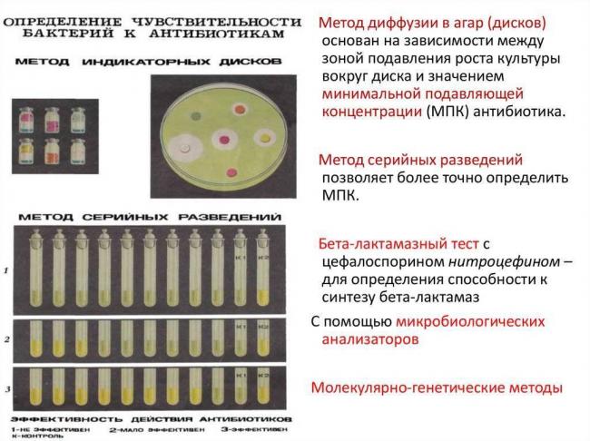 Определение чувствительности к антибиотикам