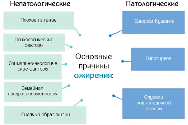 Орсотен для похудения