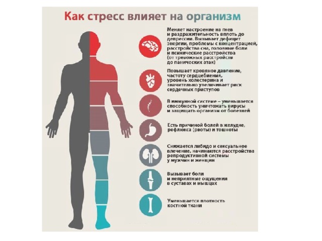 Гормон стресса кортизол: хотел как лучше, а получилось как всегда