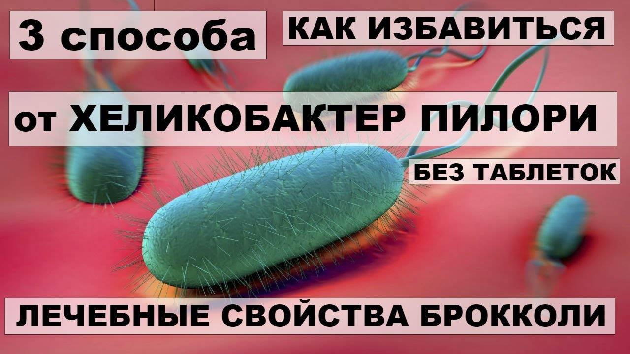 Какие 3 бактерии обязательно нужно лечить и почему это необходимо делать