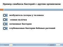На какой глубине в почве самое большое число бактерий? почему. - правильные решения и ответы