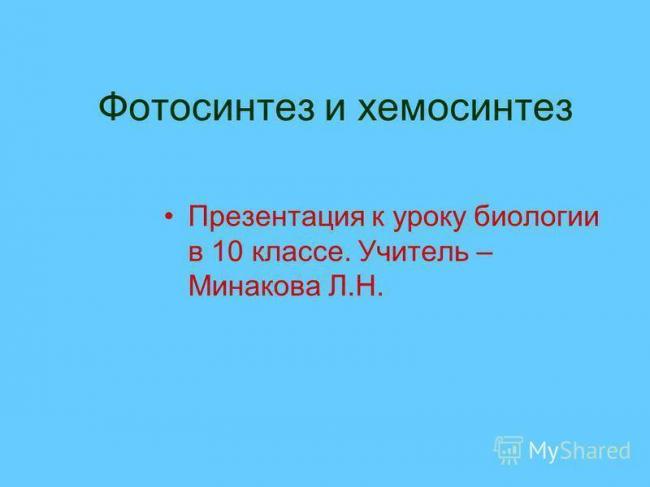 Фотосинтез, что это такое?