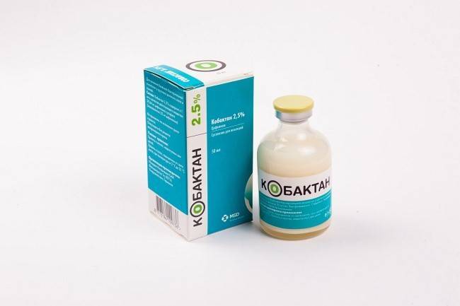 Кобактан