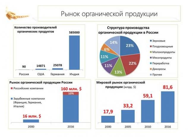 Кулинарная глобализация