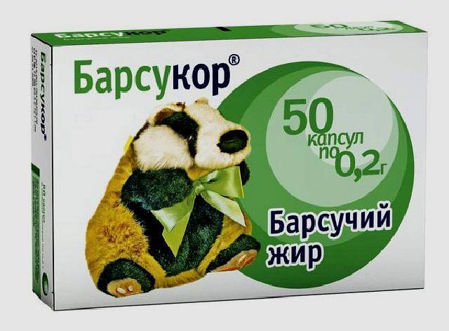 Как просто лечиться барсучьим жиром при кашле