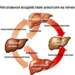 Что из алкоголя менее вредно для печени?