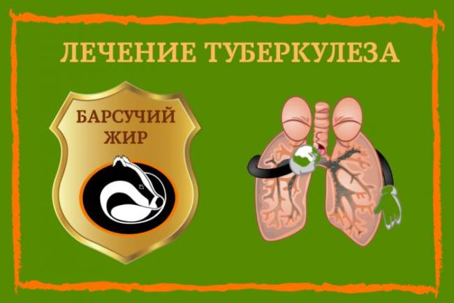 Барсучий жир при туберкулезе легких: правила использования