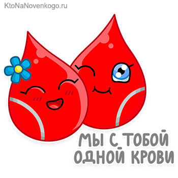 Роль гемоглобина в процессе газообмена