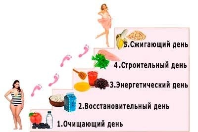 Диета лесенка ее обсуждение и отзывы