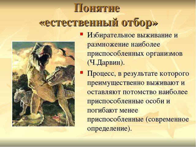 Анаэробные микроорганизмы